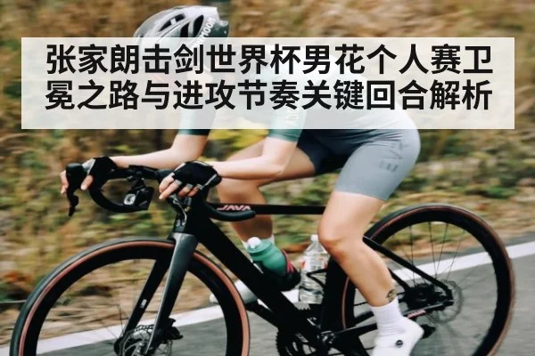 张家朗击剑世界杯男花个人赛卫冕之路与进攻节奏关键回合解析